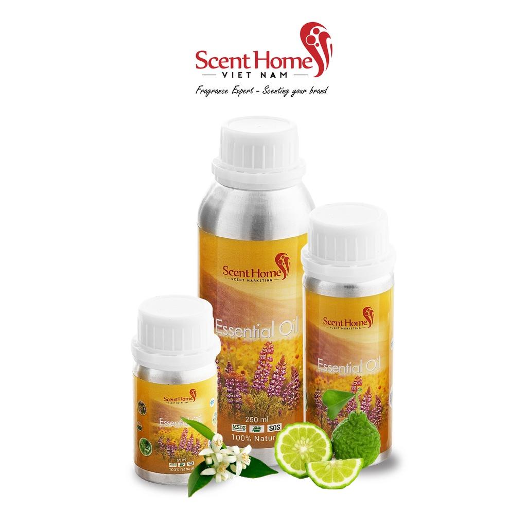 Hình ảnh Tinh dầu Scent Homes - mùi hương (Orange Blossom)