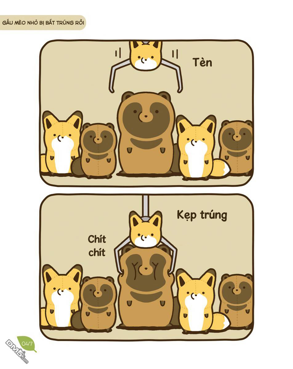 cáo và gấu mèo chapter 11 6