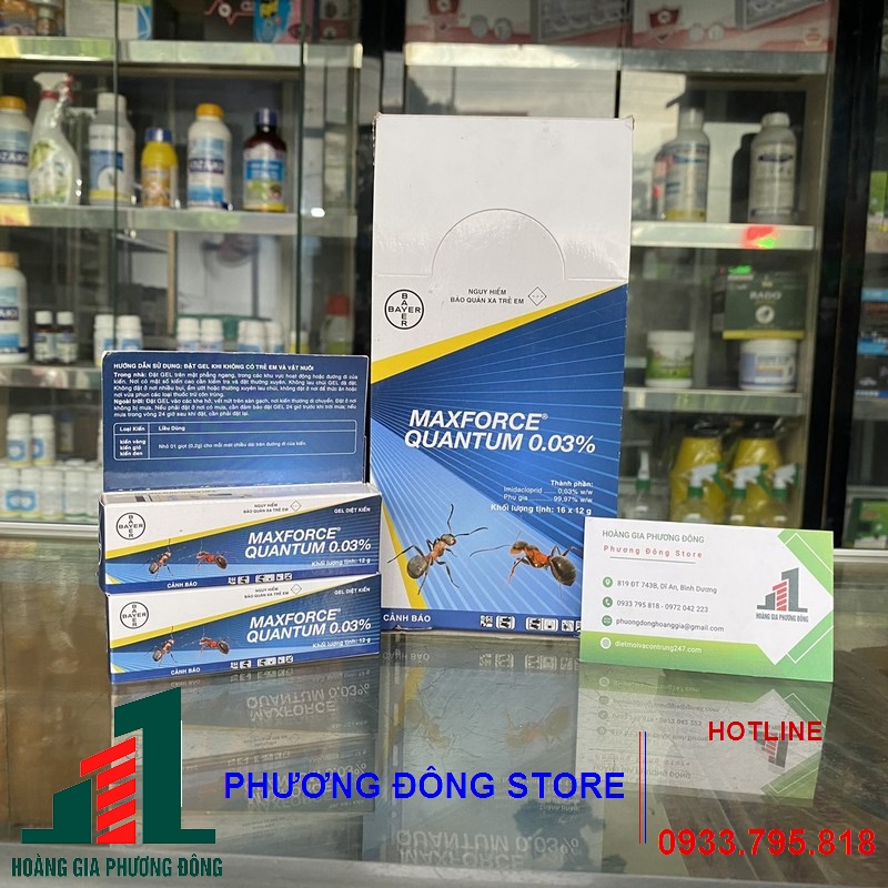 Thuốc diệt kiến và côn trùng Maxforce Quantum 0.03%-12g