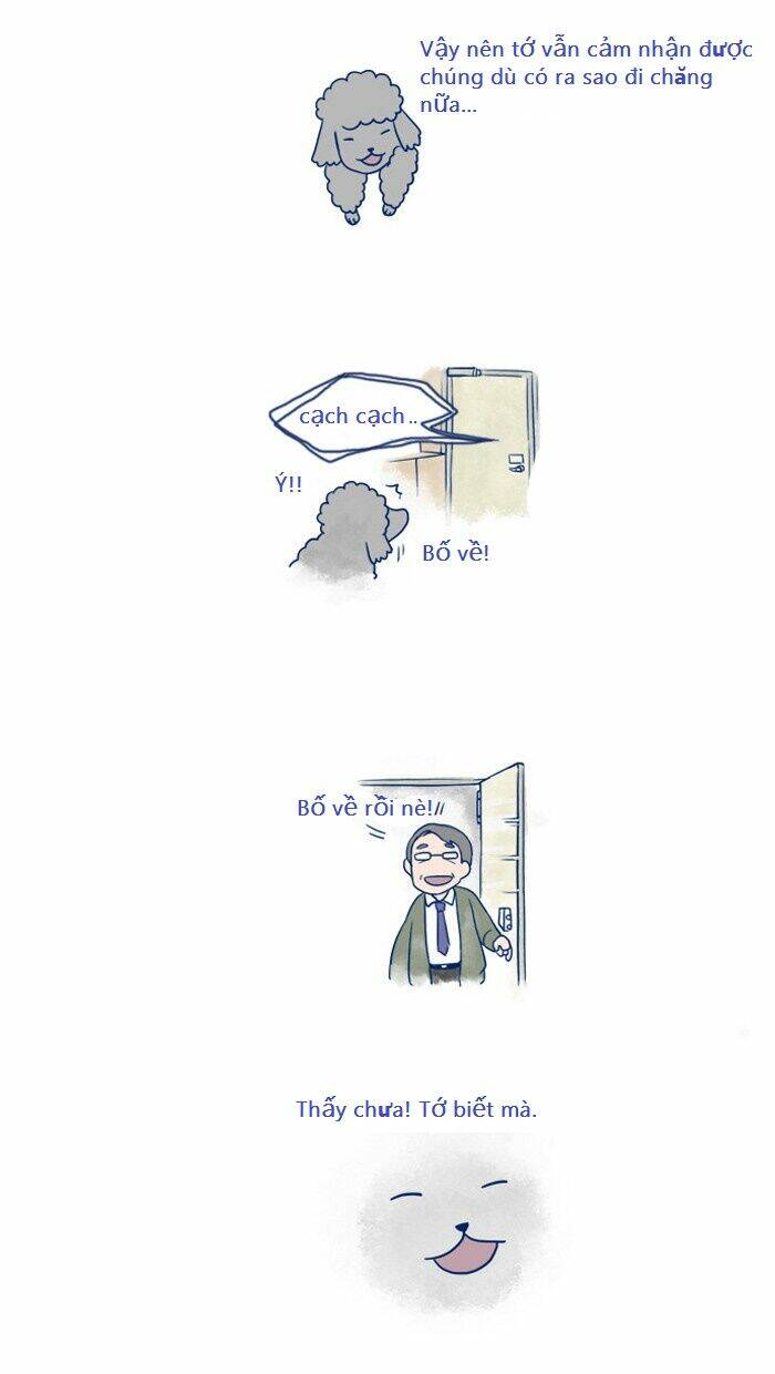 my kitty and old dog chapter 4 4