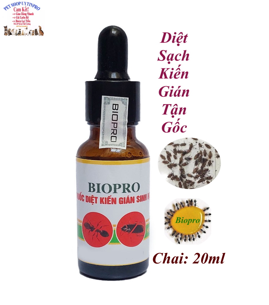 Thuốc diệt kiến gián sinh học BioPro Chai 20ml Dạng nhỏ Giúp diệt sạch kiến gián tận gốc, kiến đen, kiến lửa, gián đức