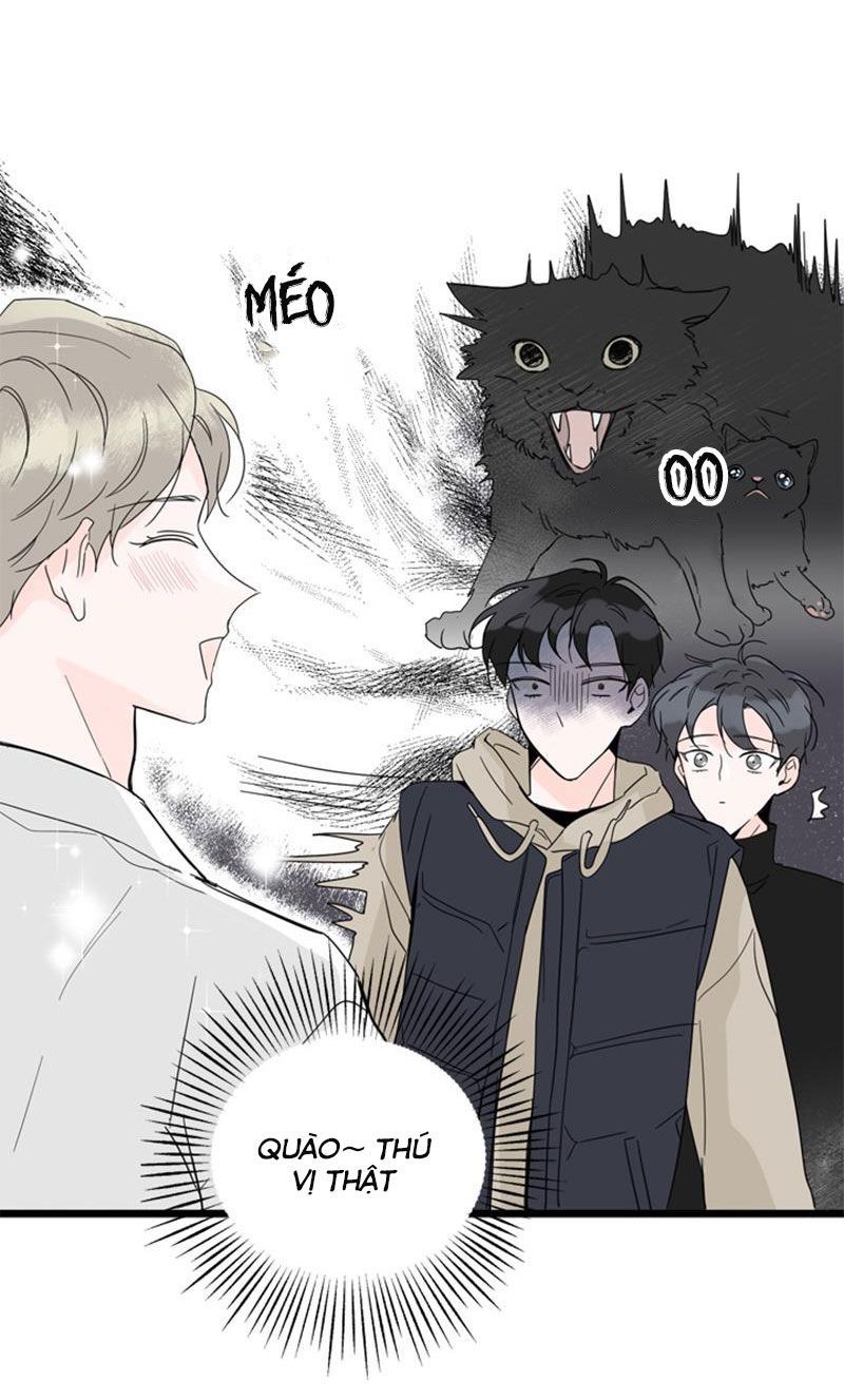 tình cờ yêu (full) chapter 3 3