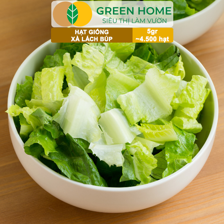 Hạt Giống Xà Lách Búp Greenhome, Gói 5gr~4500 hạt, Dễ Trồng Quanh Năm, Thu Hoạch Nhanh, Năng Suất Cao R20