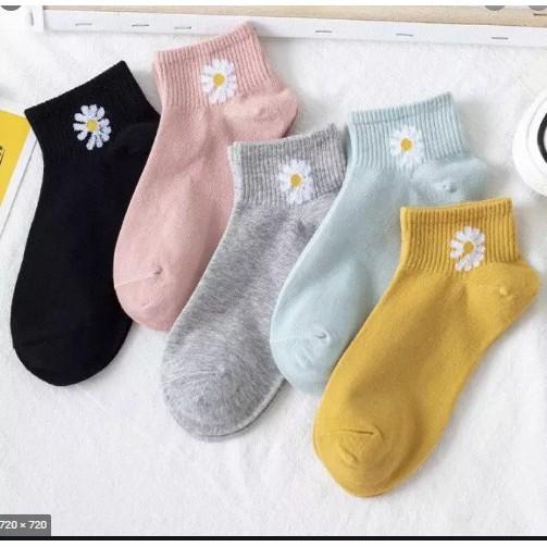 Set 10 đôi tất vớ hoa cúc. Tất cho bạn gái họa tiết hoa cúc. vớ hoa cúc cho bạn gái - Duonghieu6789