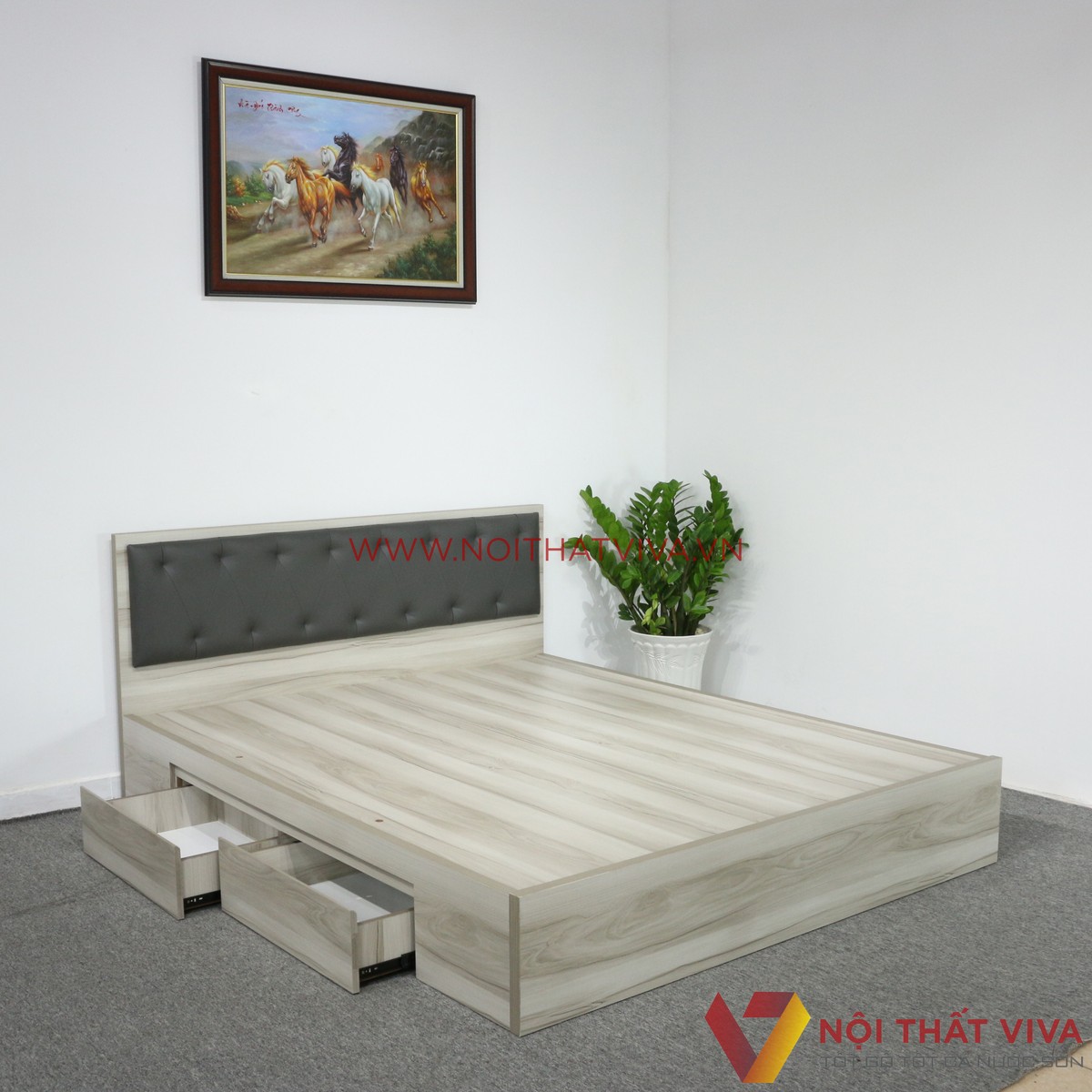 Giường Ngủ MDF Melamine Màu Xám Nhạt Vân Gỗ Có Hộc Kéo + Đầu Nệm Đen Đẹp