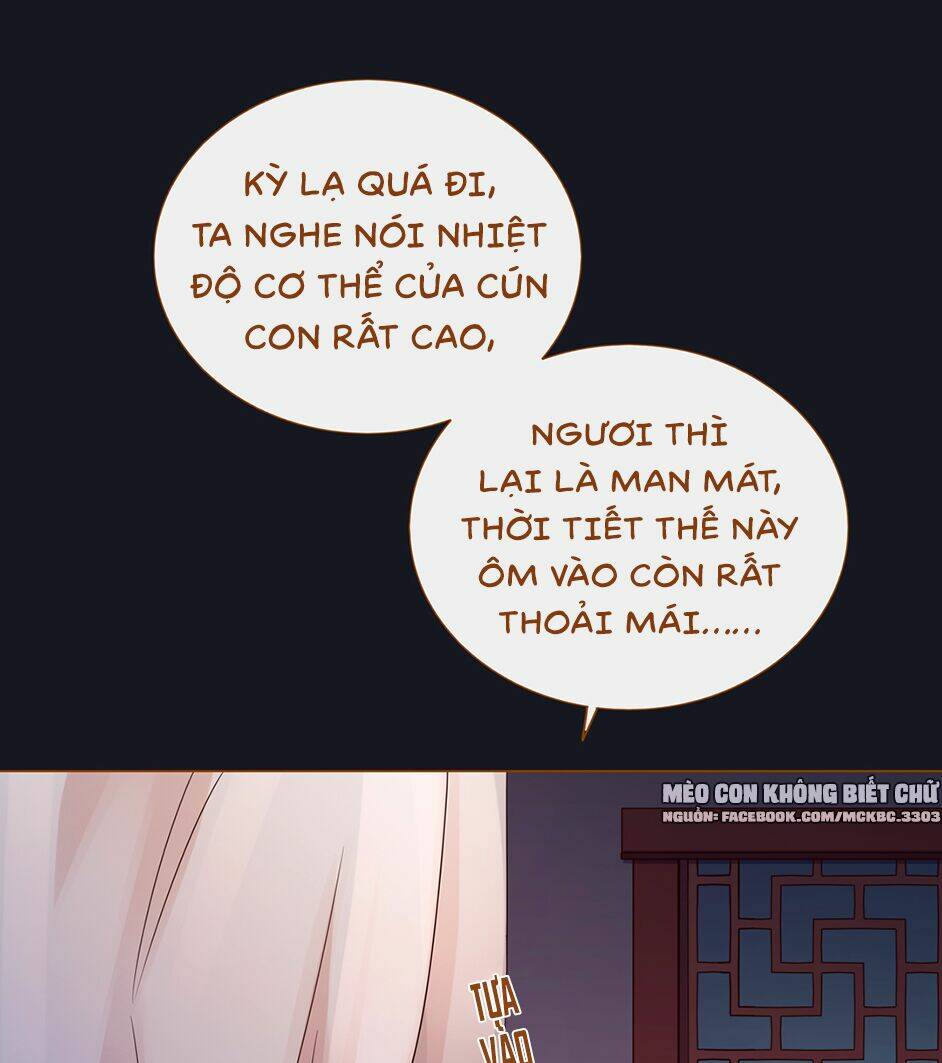 boss khủng bố chiếm đoạt ta chapter 6 15