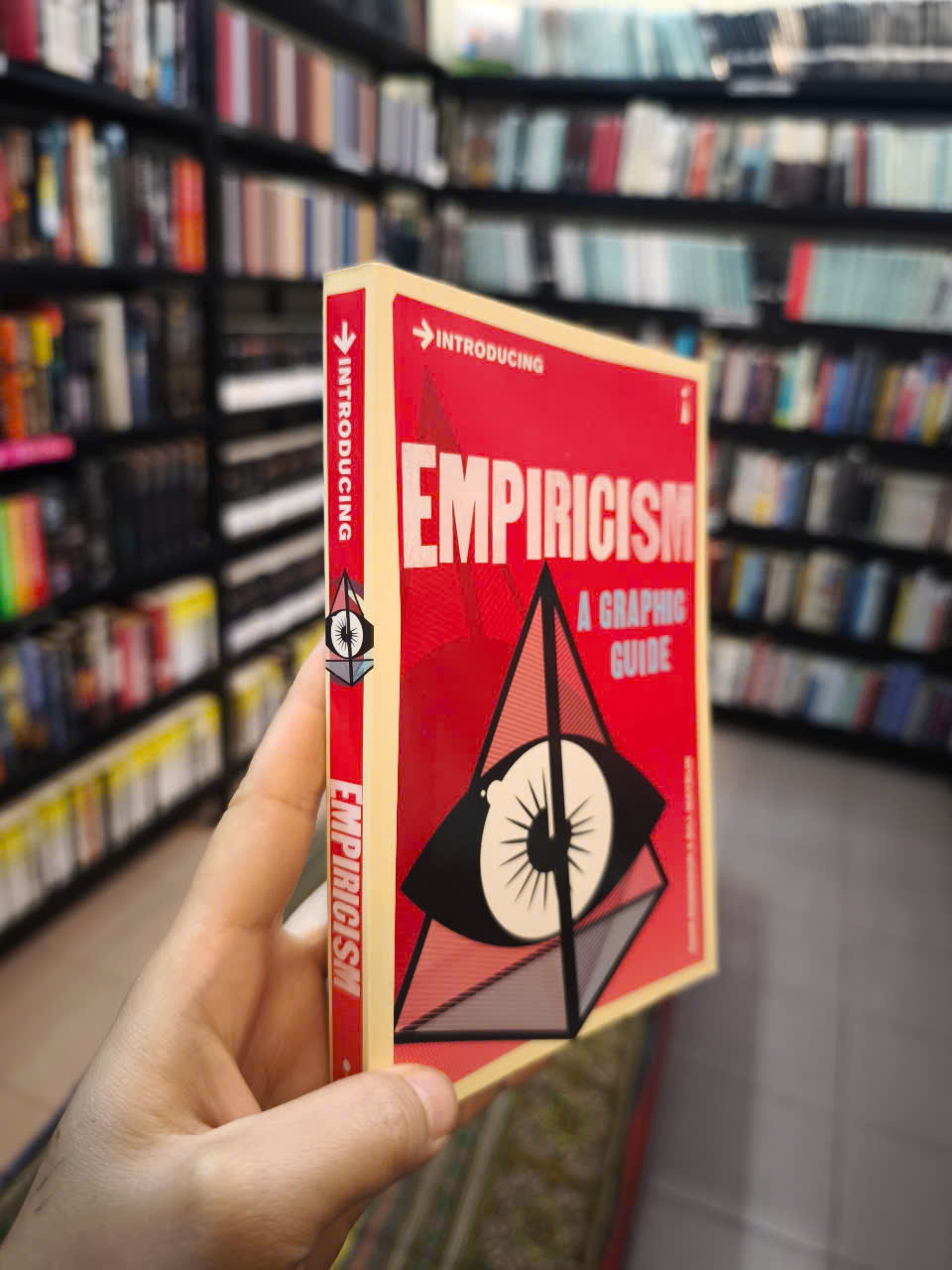 Sách - Introducing Empiricism A Graphic Guide by Dave Robinson - Philosophy /Nonfiction/ Science in English