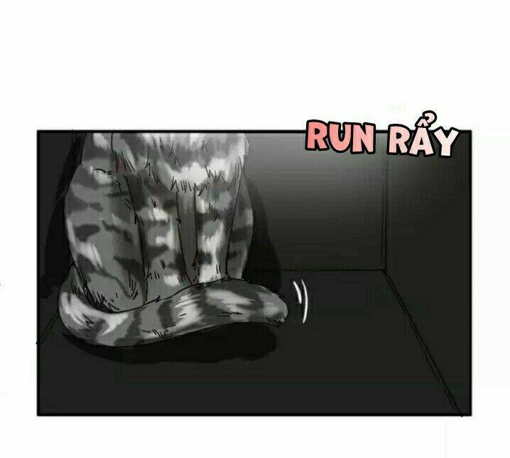 thập quang mật ngữ chapter 5 11