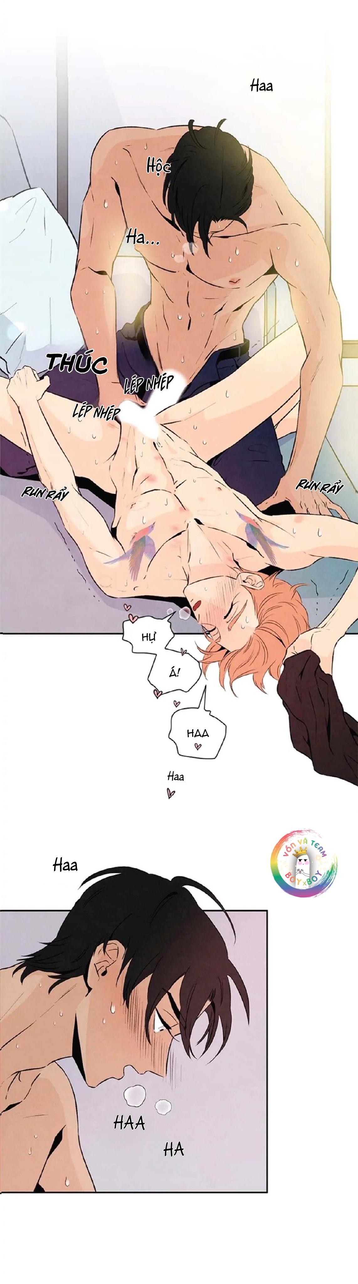 bona sort chapter 20 3