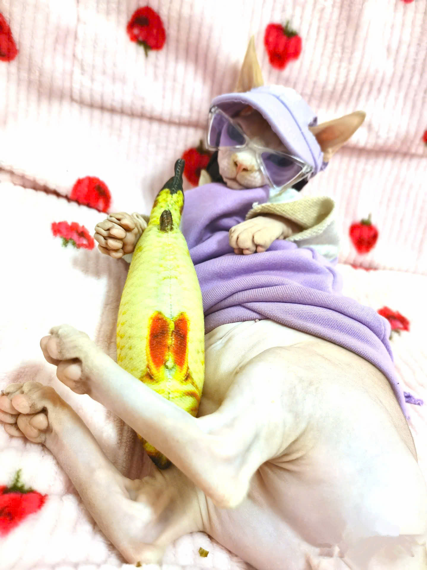 MẮT KÍNH KÍNH RÂM KÍNH MÁT NGỘ NGHĨNH TAM GIÁC SIÊU XINH SANG CHẢNH MÃ 1 CHO THÚ CƯNG CHÓ MÈO