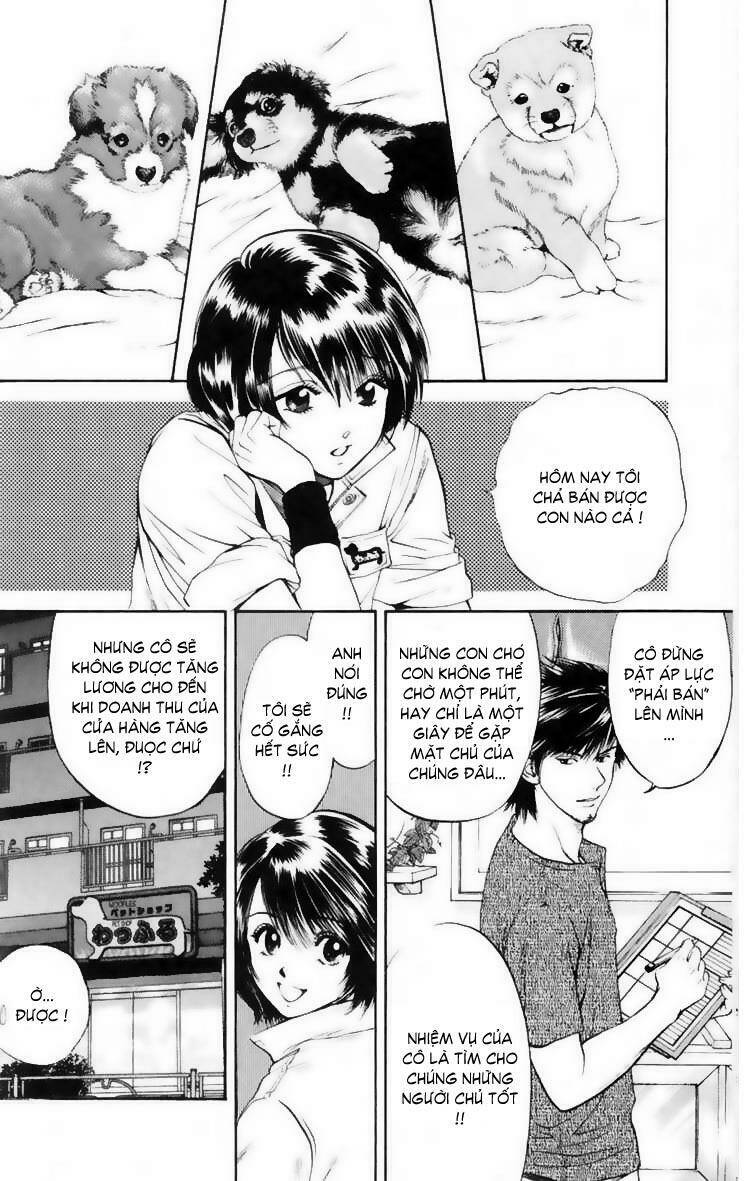 cô nàng yêu chó chapter 10 6