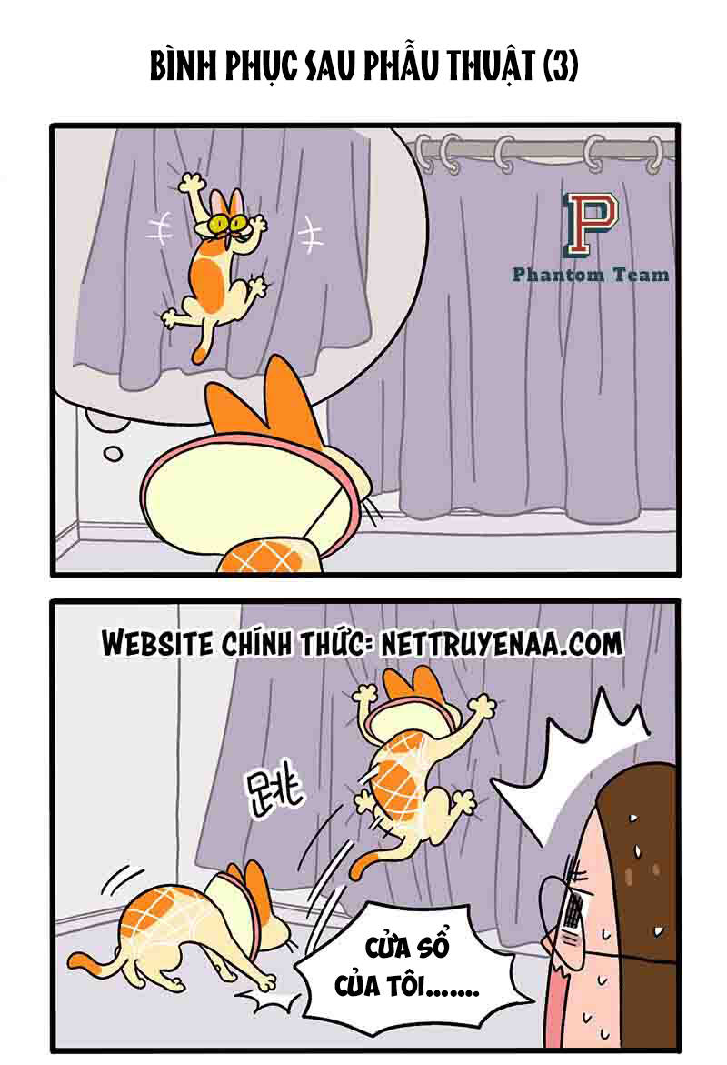 a mãn và mạch trà chapter 23 5