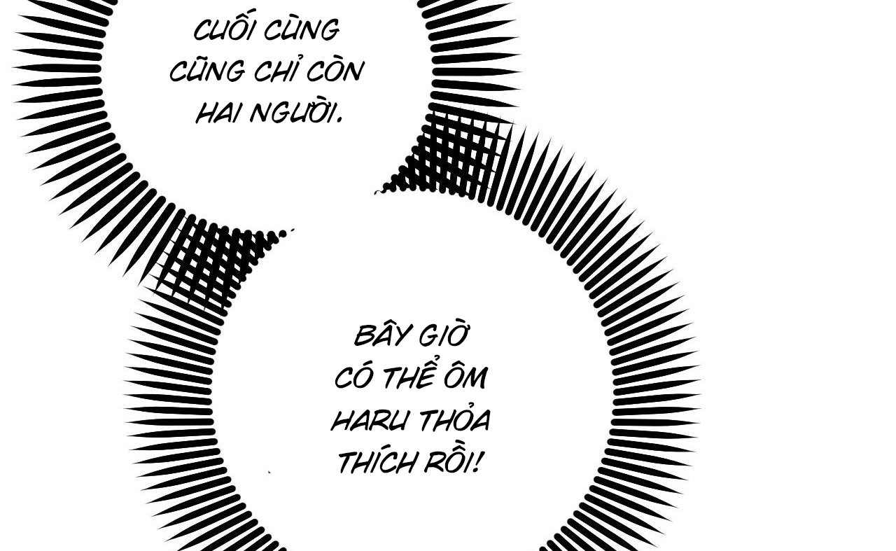 những chú thỏ của hapypy chapter 52 46