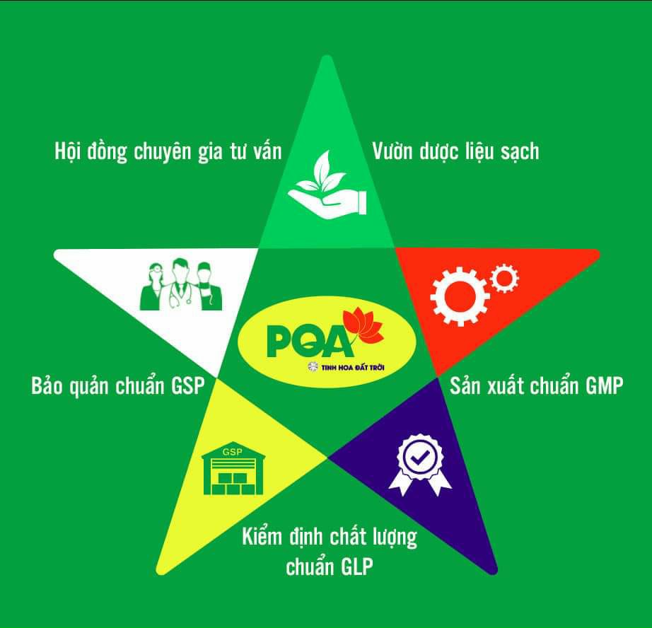 Sinh Địa Hoàng PQA Giúp Thanh Nhiệt Lương Huyết, Hỗ Trợ Làm Tăng Tính Bền Thành Mạch Hộp 125ml