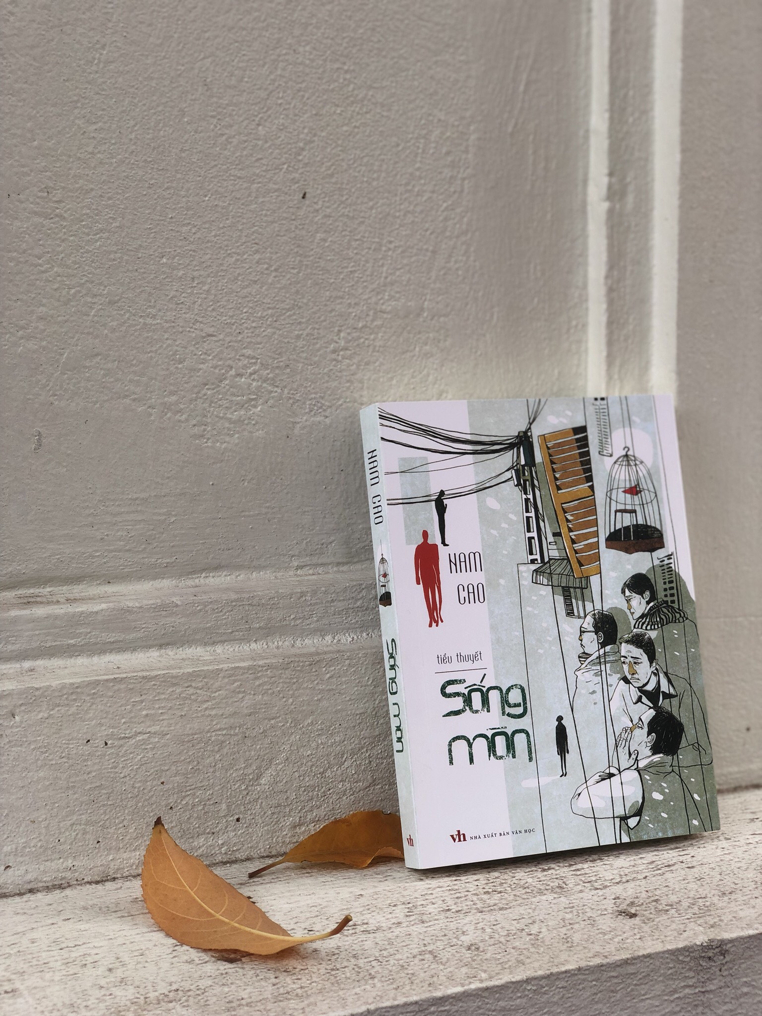 Sách: Tiểu Thuyết Sống Mòn