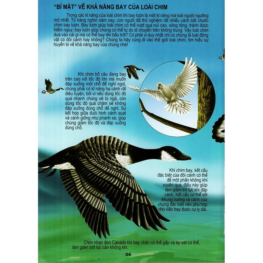Thế Giới Động Vật Kì Thú - Thế Giới Loài Chim