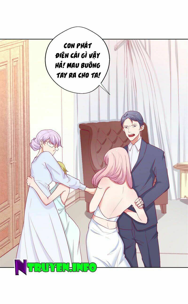 ngạo kiều tổng tài sủng điềm thê chapter 28 5