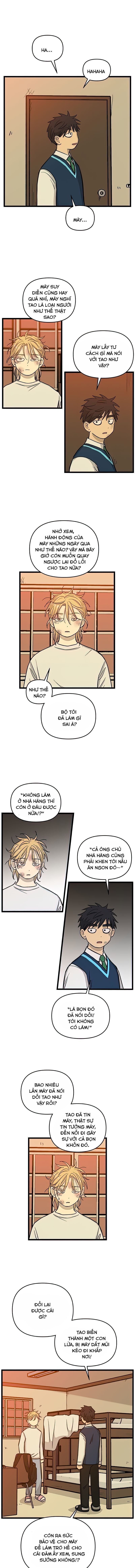 no home - không nhà chapter 157 3