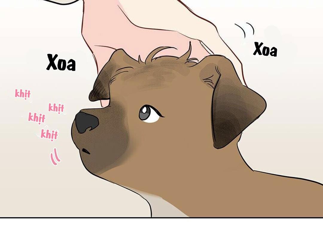 chuyện quái gì với giấc mơ đó vậy chapter 41 58