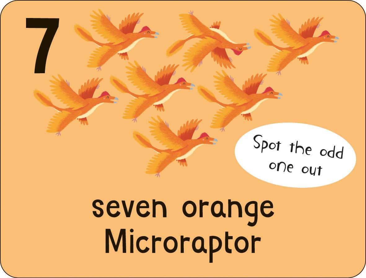 Sách ngoại văn: Lots To Spot Flashcards - Dinosaurs!