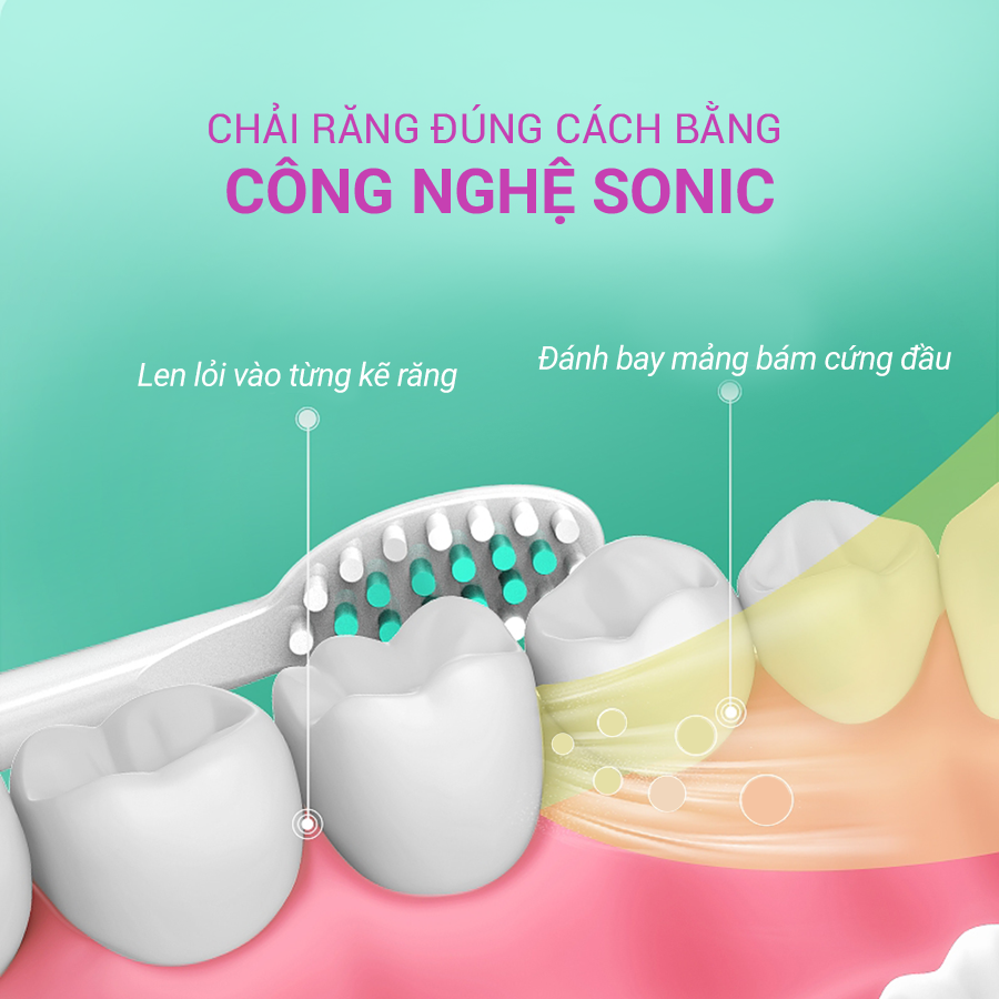 Bàn Chải Điện Sonic Life360 LE-BCD22A (Bản Cao Cấp) - Công nghệ sóng âm sonic, Chải Sạch Mảng Bám Tới 10 Lần, 5 chế độ thông minh, Chống Nước IPX7