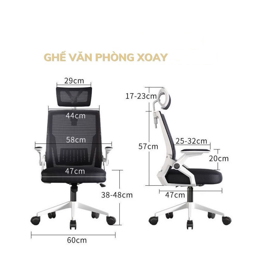 Ghế Xoay Văn Phòng TANNI Premium 01, Ghế Làm Việc Công Thái Học Cao Cấp