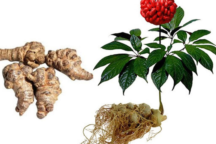 Mật ong rừng cao thảo dược