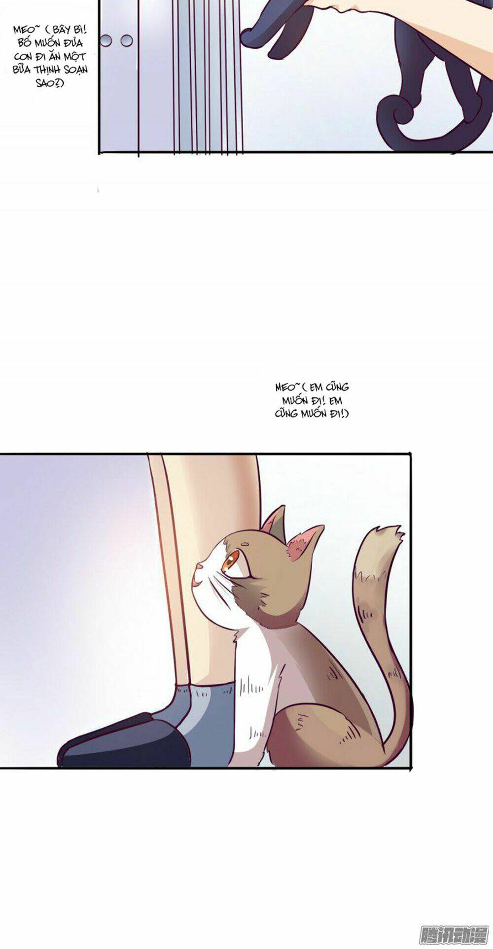 hai chú mèo totem chapter 3 9