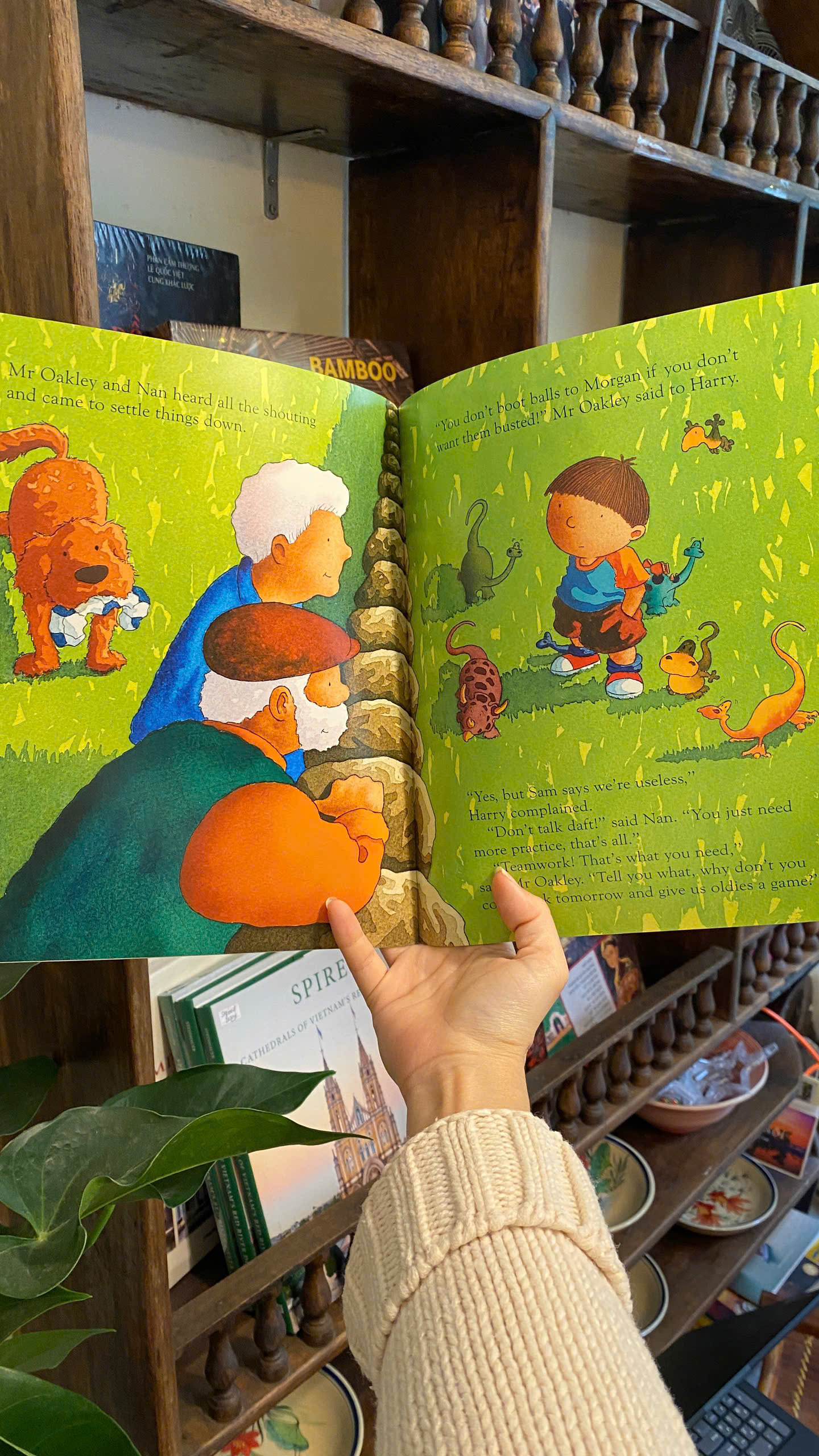 Sách - Harry and the Dinosaurs: United by Adrian Reynolds | Children's English Picture Book