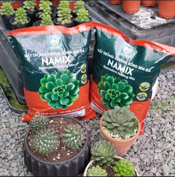 Đất trồng xương rồng sen đá Namix 5dm3