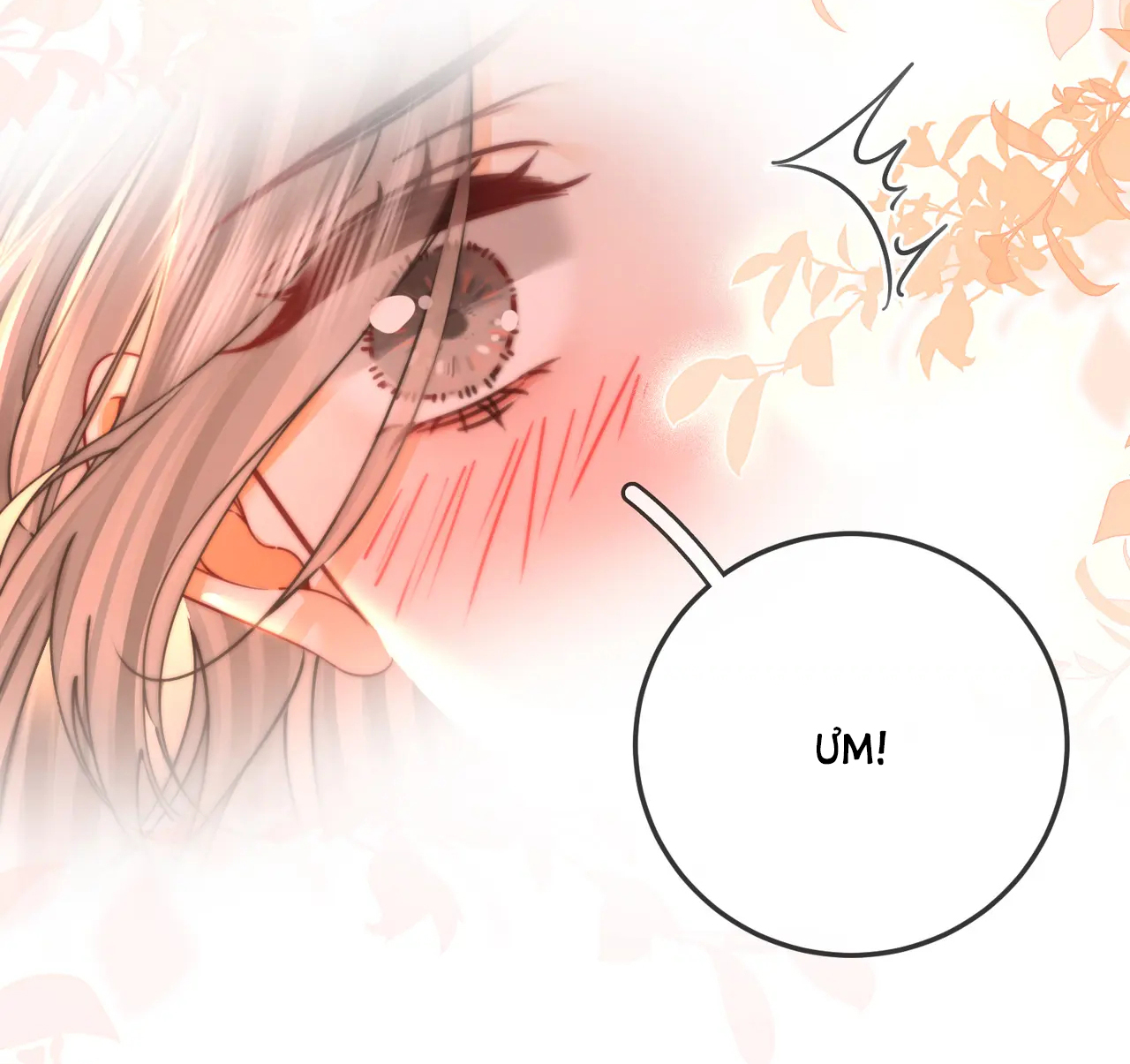 Cố Tiểu Thư Và Khúc Tiểu Thư chapter 58 - Trang 27