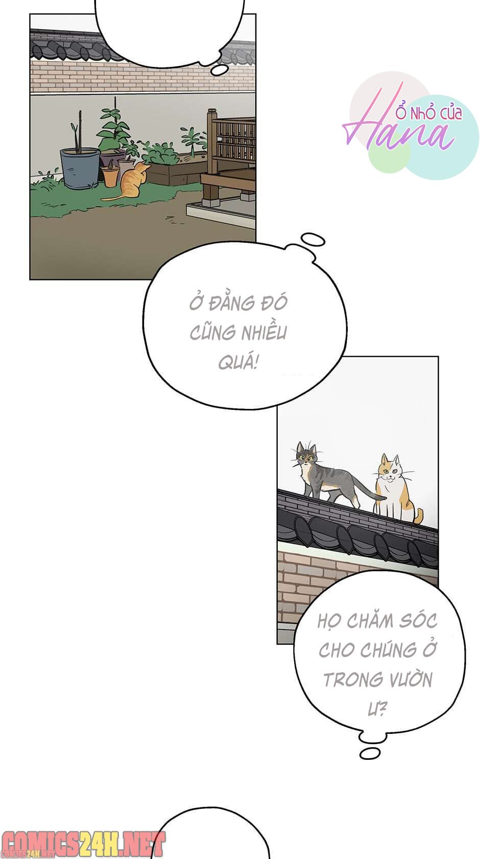 chỉ là giấc mơ thôi phải không? chapter 1 20