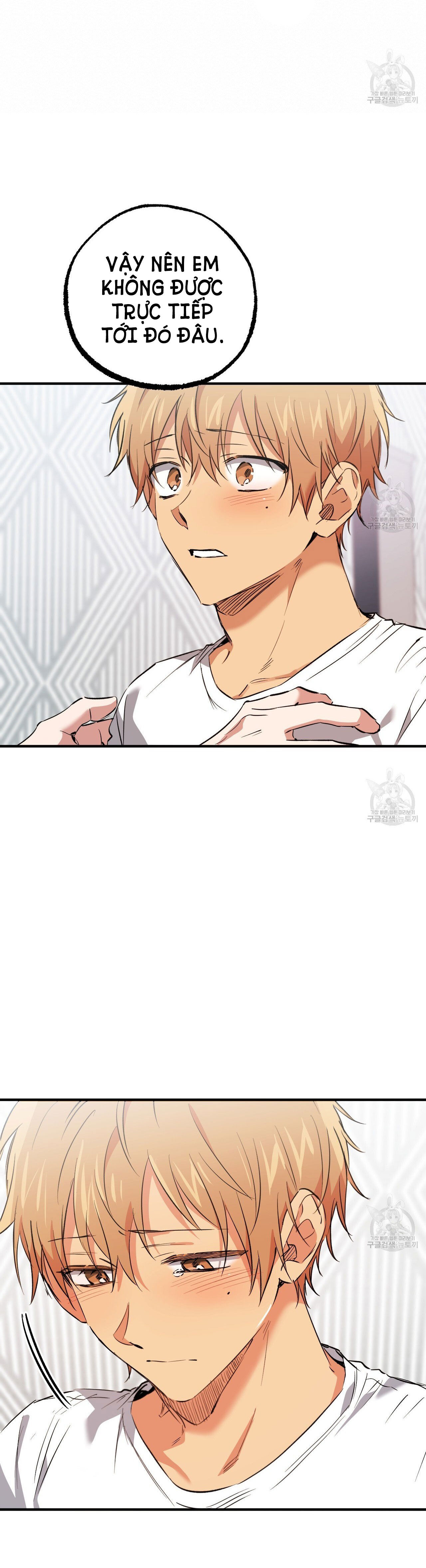 những chú thỏ của hapypy chapter 61.1 15