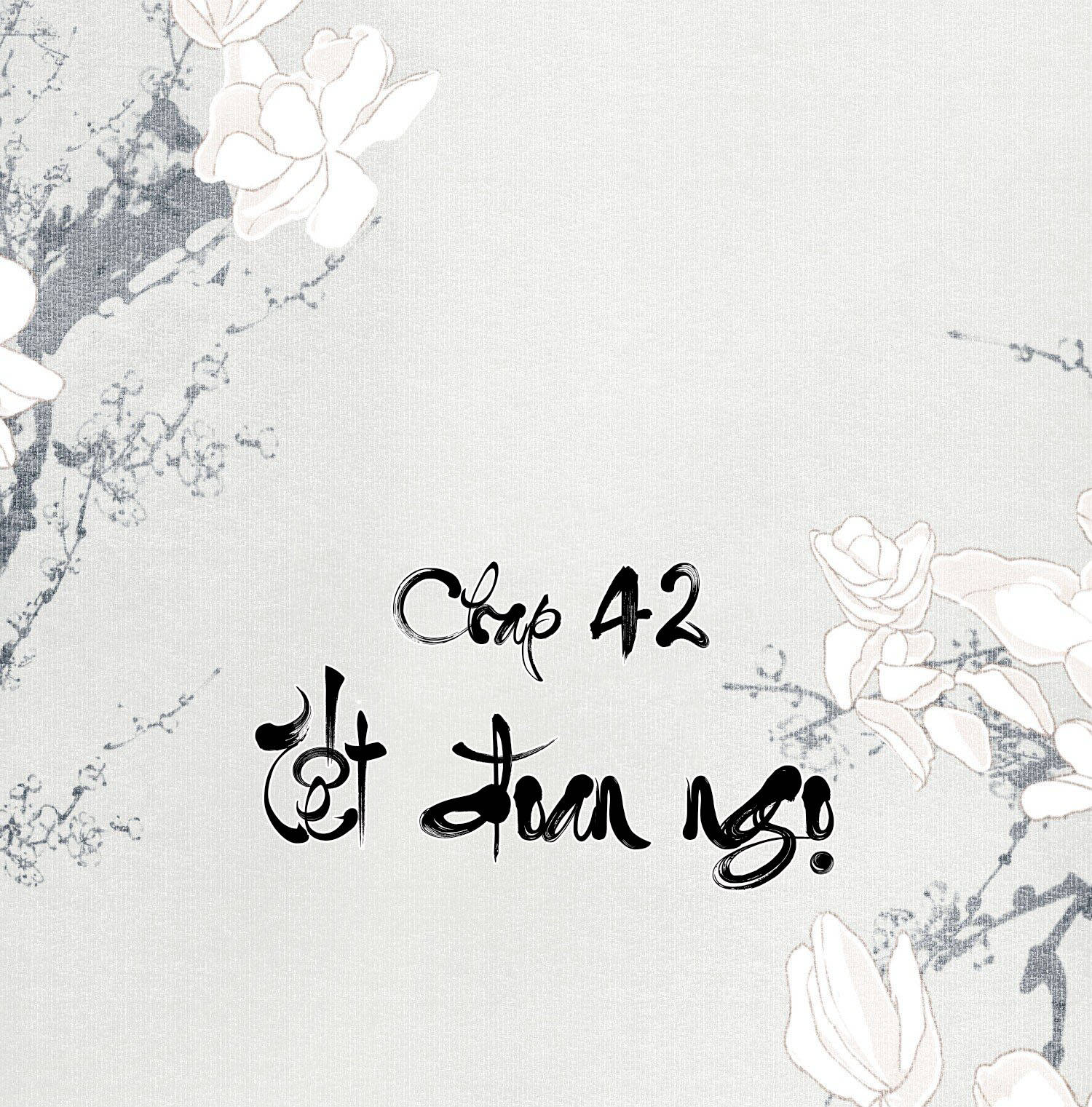 không cẩn thận cứu phải kẻ thù của giang hồ chapter 42 2