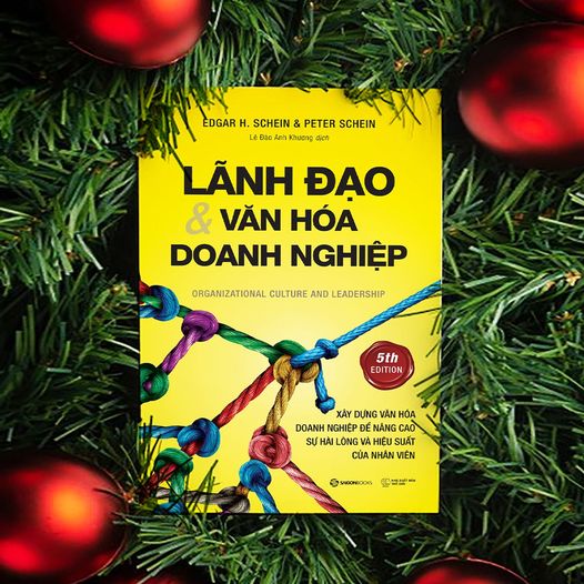 Lãnh đạo và Văn hóa doanh nghiệp: Xây dựng văn hoá doanh nghiệp để nâng cao sự hài lòng và hiệu suất của nhân viên (Organizational Culture and Leadership) - Tác giả: Edgar H. Schein, Peter Schein