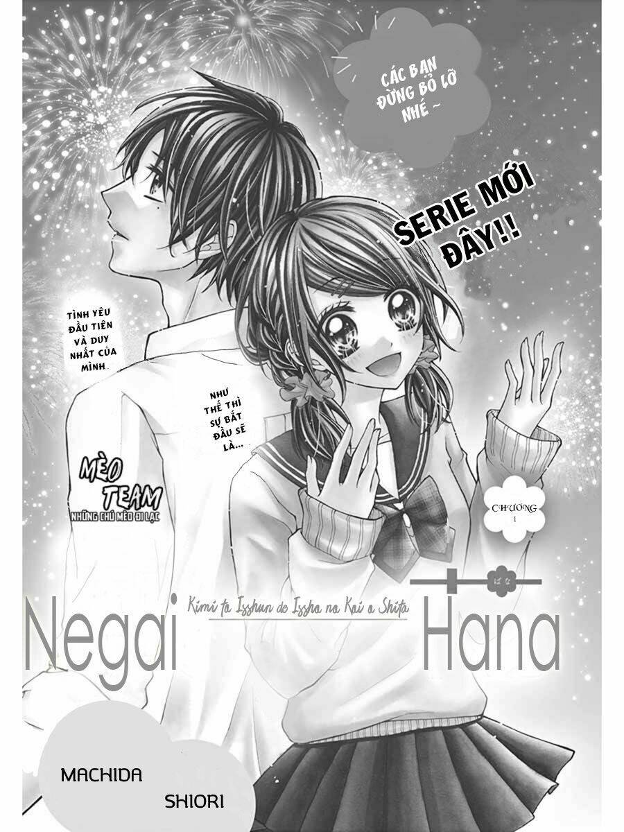 tớ muốn xem pháo hoa cậu làm chapter 1 5