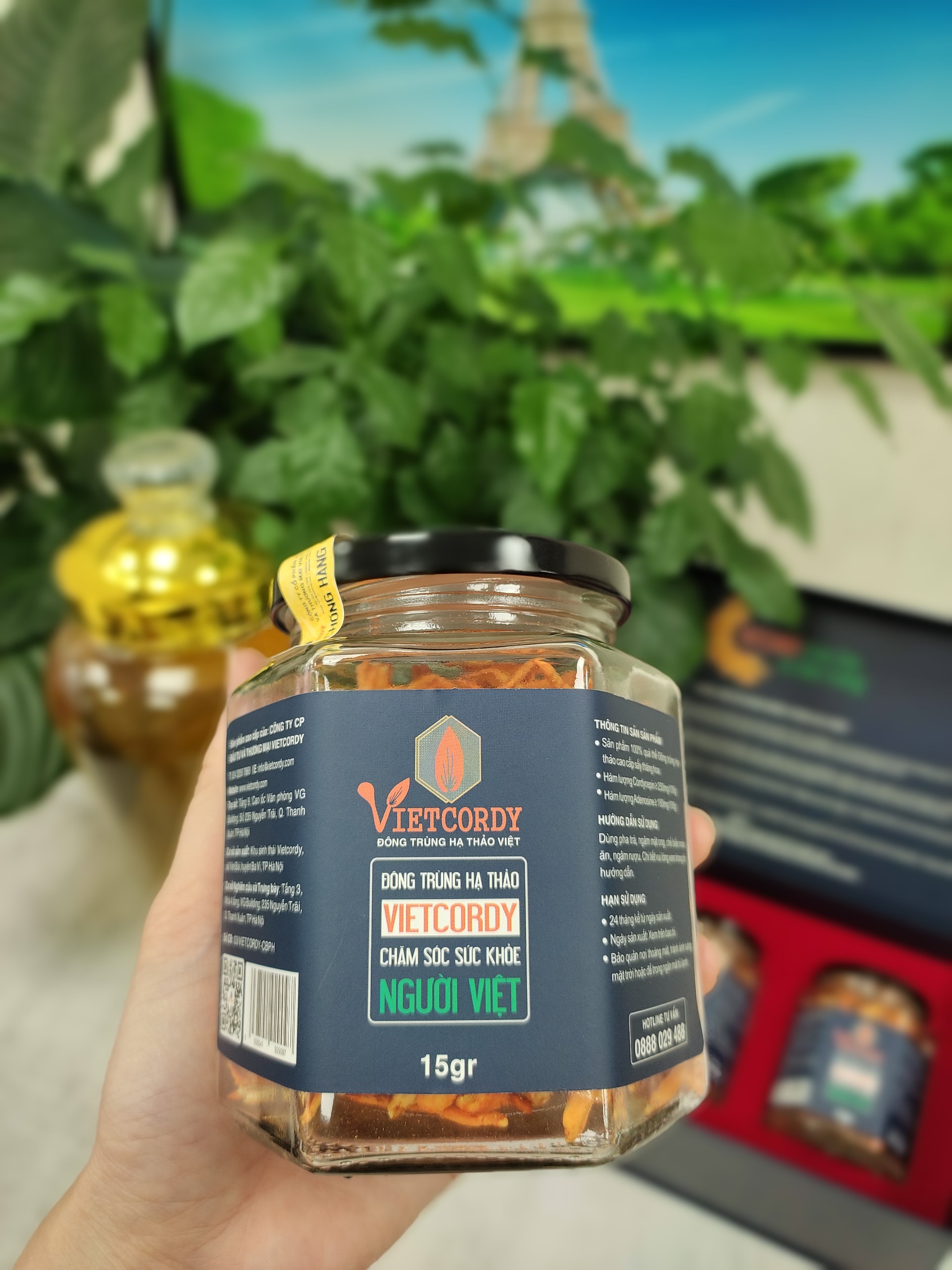 COMBO ĐÔNG TRÙNG HẠ THẢO CAO CẤP 2 HŨ * 15GR