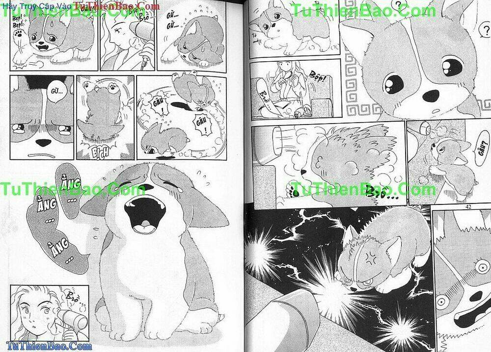 chó con mo mo chapter 1 22