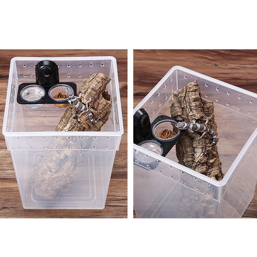 4 pcs Gecko Baby Reptile Food Basin Water Dish Bowl Feeder