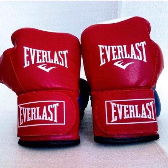 Găng Tay Quyền Anh /găng Tay Boxing /găng Tay Tập Võ Everlast-LYLY SPORTS