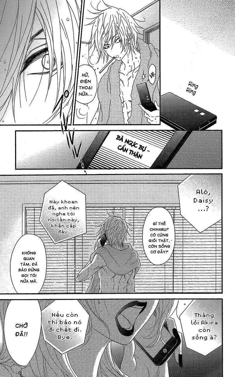 điện kích daisy chapter 60 40