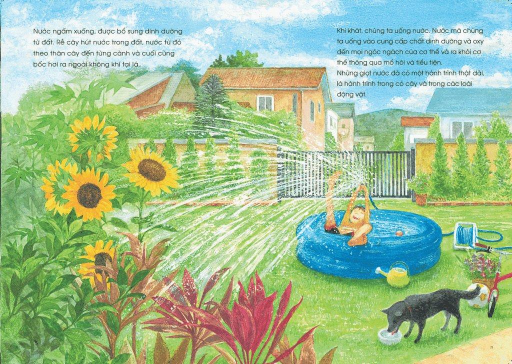 Ehon - Mọt Sách Mogu - Câu Chuyện Của Những Giọt Nước