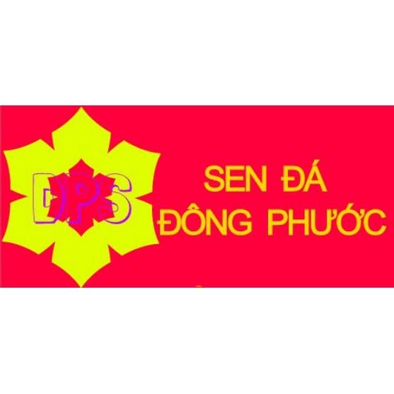 1 cặp thuyền nan hai màu nâu vàng - Sen Đá Đông Phước - Phụ kiện tiểu cảnh sen đá xương rồng, cây phong thuỷ, văn phòng