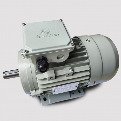 Động cơ điện Enertech 3 pha ESA 0.75kW 4P B3 - Hàng chính hãng