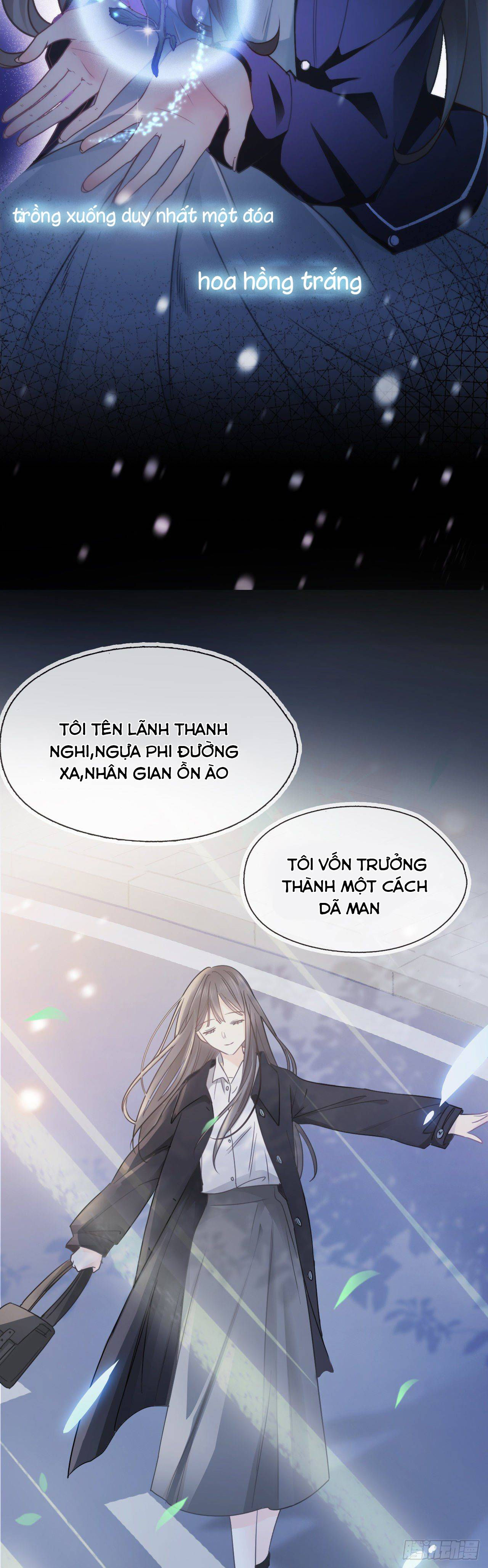 cô ấy và hoa hồng trắng chapter 0 2