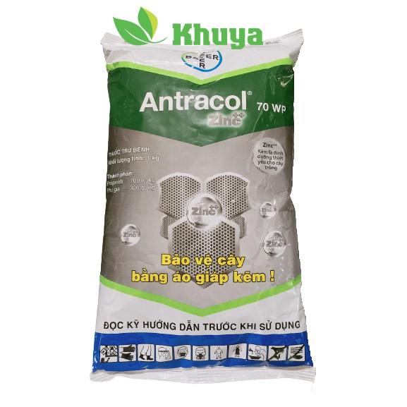 Thuốc trừ bệnh Antracol 70WP gói 1kg