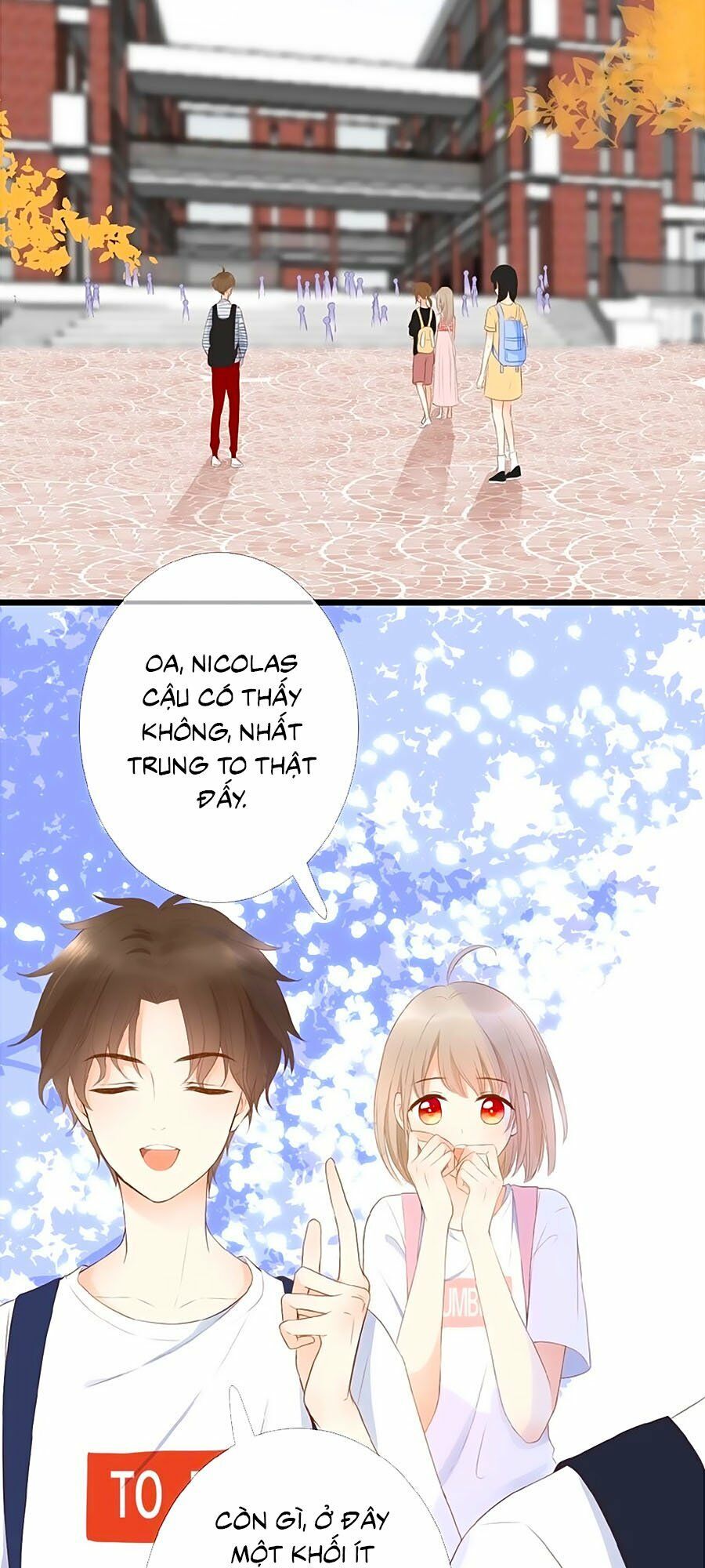 hoa chưa nở rộ chapter 8 11