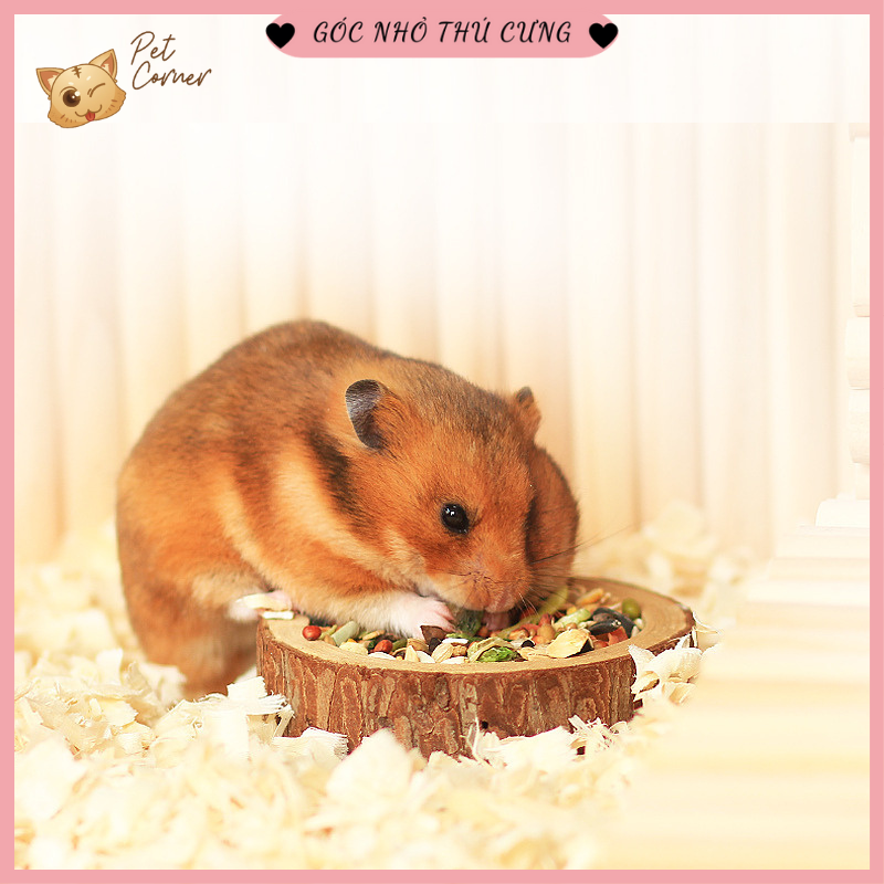 Thức ăn cho hamster cao cấp, hỗn hợp ngũ cốc, rau củ quả và hải sản