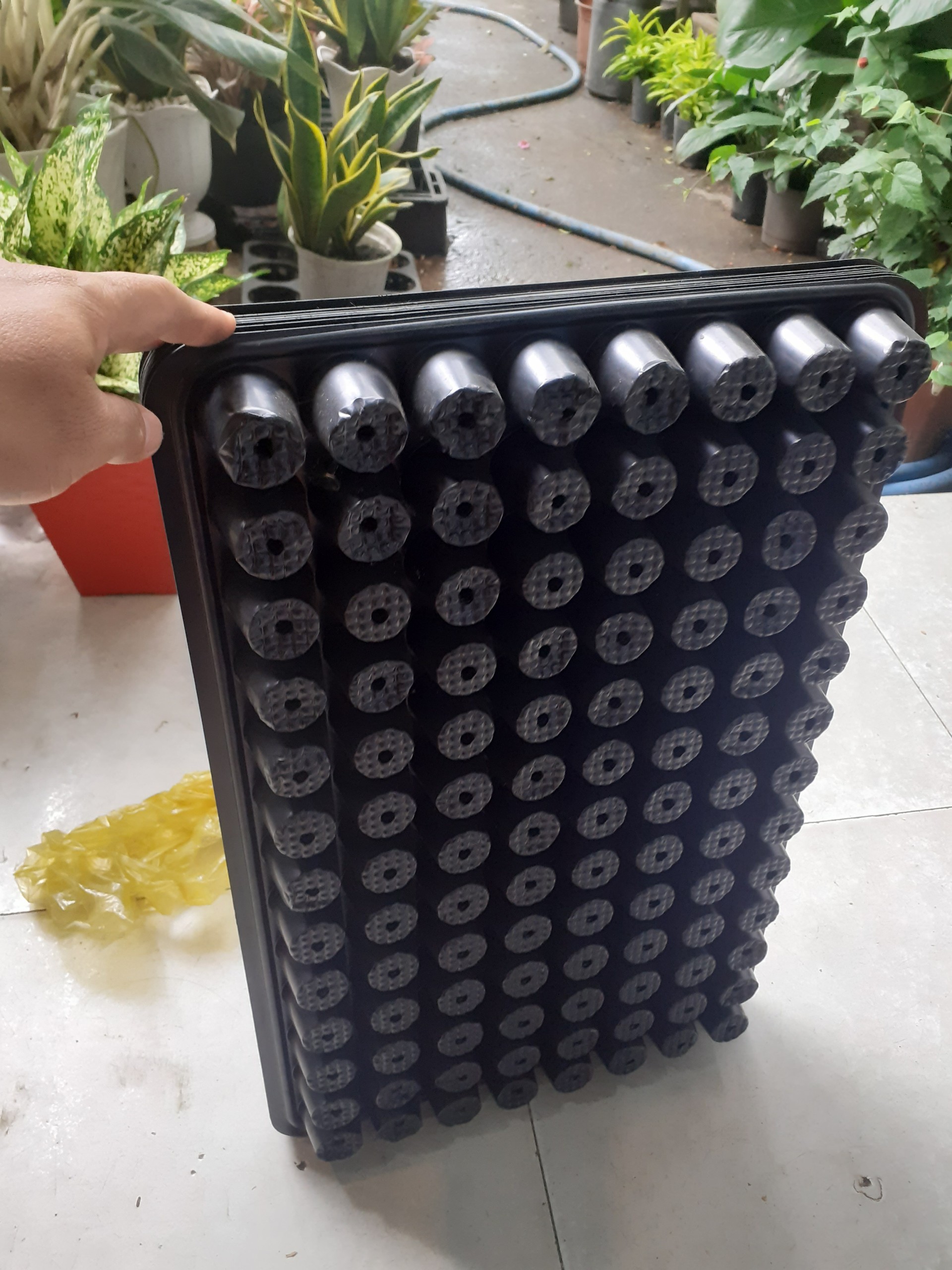 *** Combo 2 khay ươm hạt giống *** 104 lỗ màu đen *** dày, dẻo, dai ***