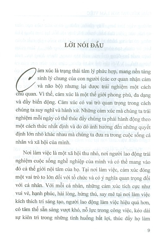 Cảm Xúc Tại Nơi Làm Việc (Sách Chuyên Khảo)